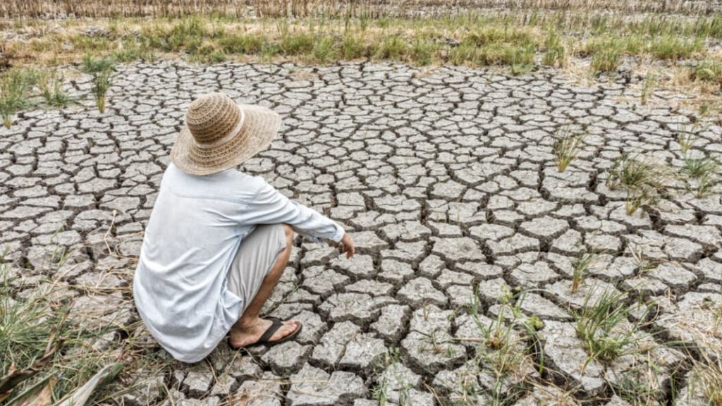 Día de la desertificación 2020: cuando la tierra nos pide ayuda