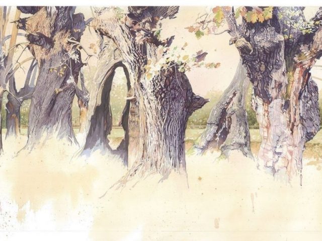 El genial pintor de la naturaleza Fernando Fueyo se hace árbol y raíces para siempre