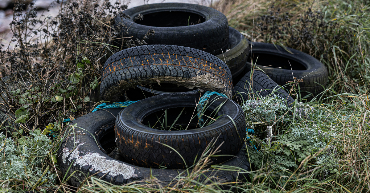 Neumáticos abandonados en la naturaleza