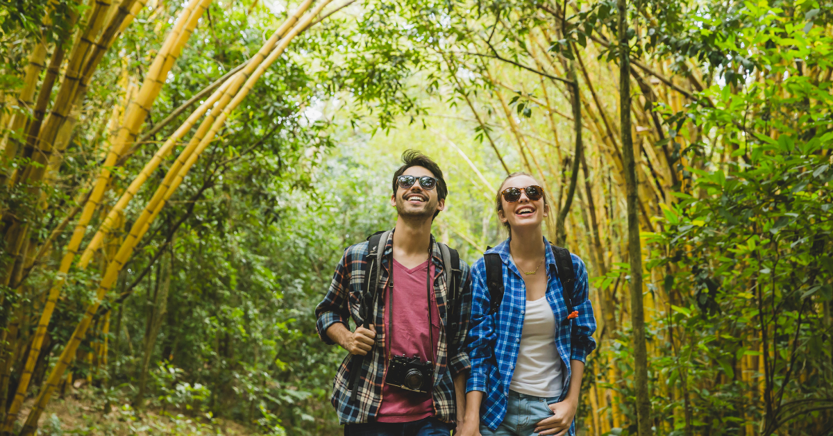 Personas disfrutando de un paseo por el bosque