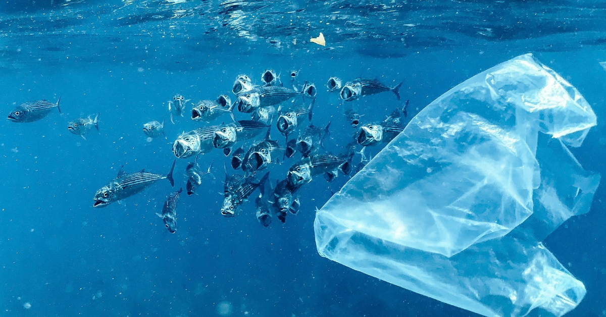 Bolsa de plástico en nuestro océano
