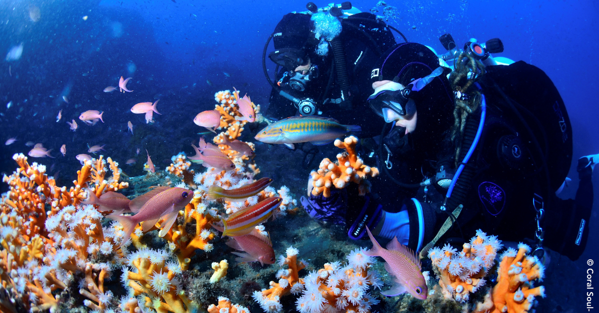 Personas practicando submarinismo en el fondo marino