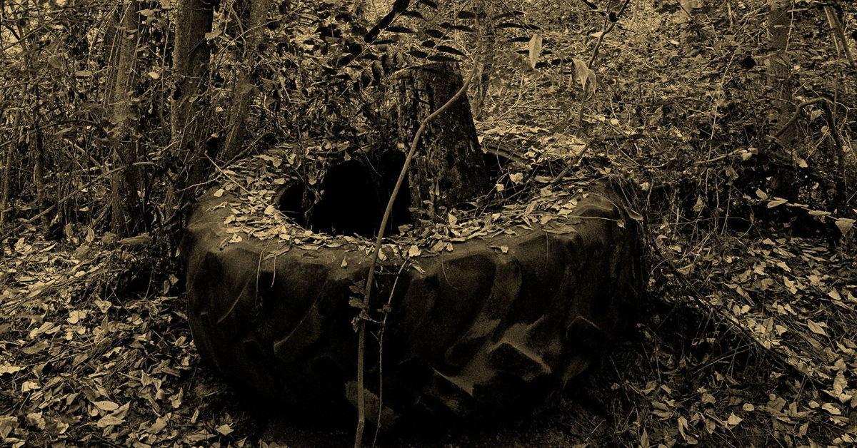 Rueda abandonada en la naturaleza - Jose Quintanilla