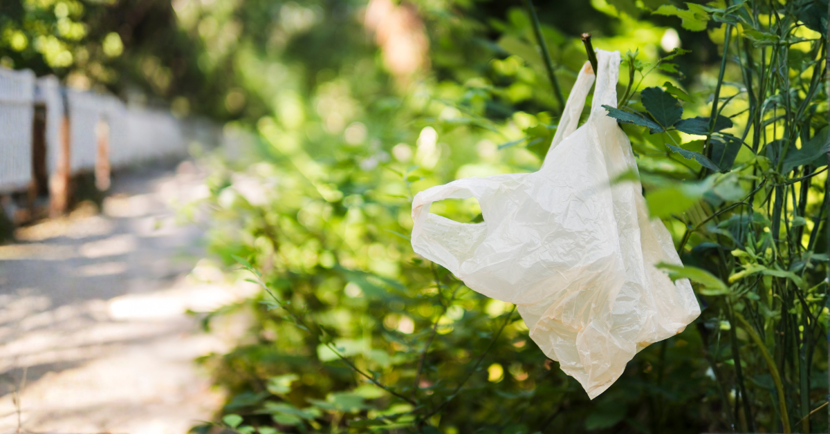 Bolsa de plástico colgada en un árbol