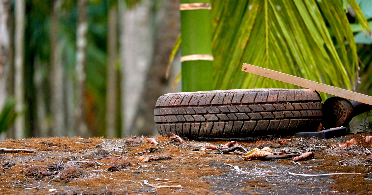 Neumático abandonado en la naturaleza