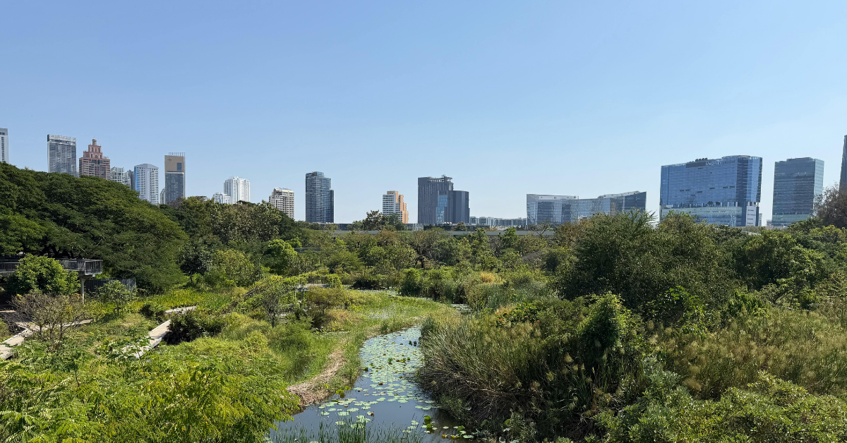 Vista de una ciudad alrededor de un parque