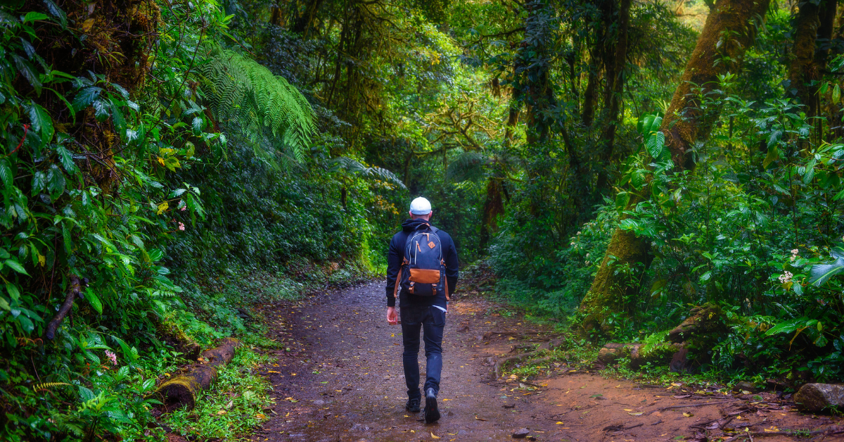 Hombre paseando por el bosque