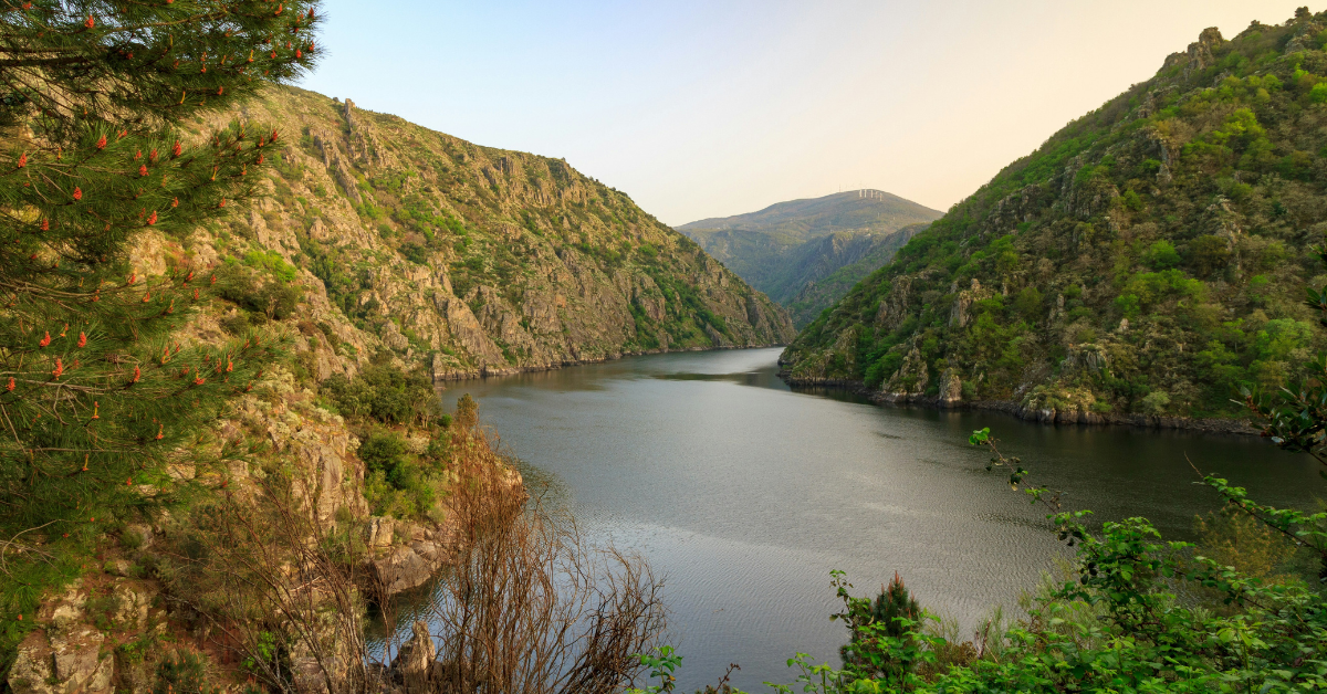 Ribeira Sacra
