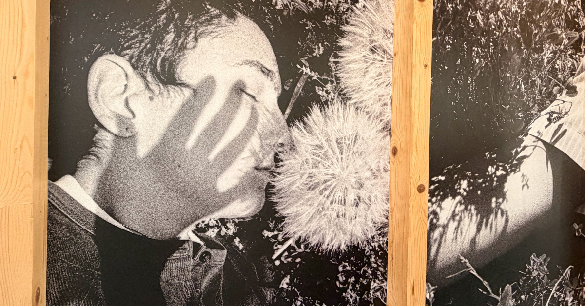 Exposición 'Lo que las flores revelan' en Infinito Delicias, foto de Rafa Ruiz