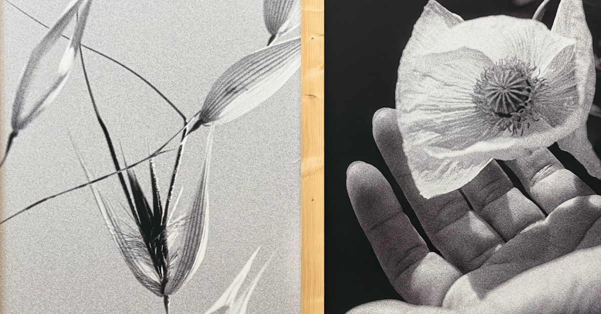 Exposición 'Lo que las flores revelan' en Infinito Delicias, foto de Rafa Ruiz
