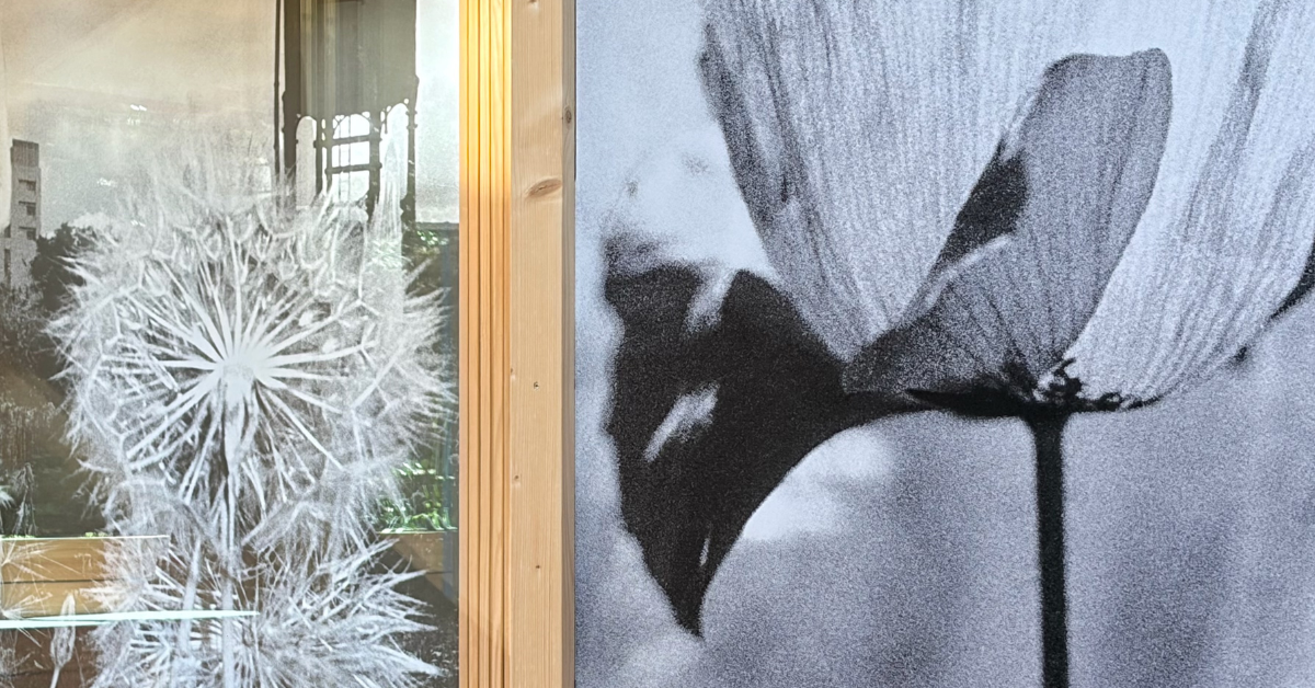 Exposición 'Lo que las flores revelan' en Infinito Delicias, foto de Rafa Ruiz