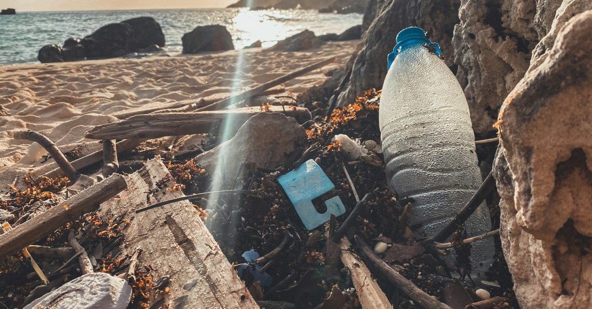 Basura en rocas de la playa