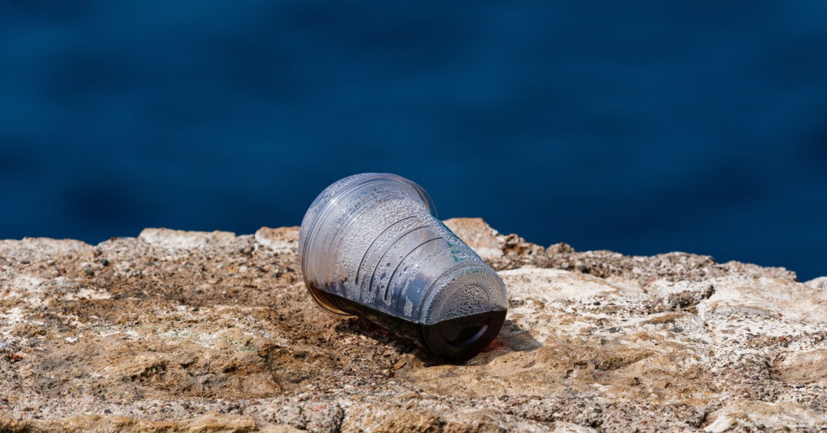 Vaso de plástico tirado en las rocas de la playa