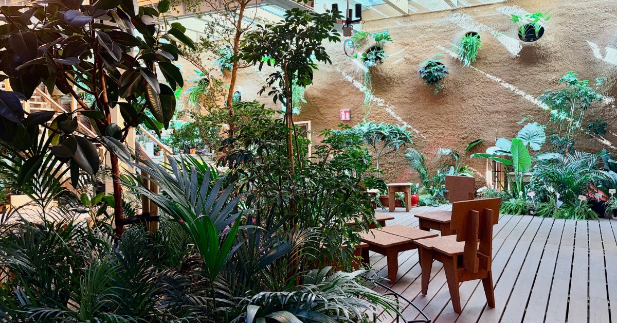 Jardín exterior verde