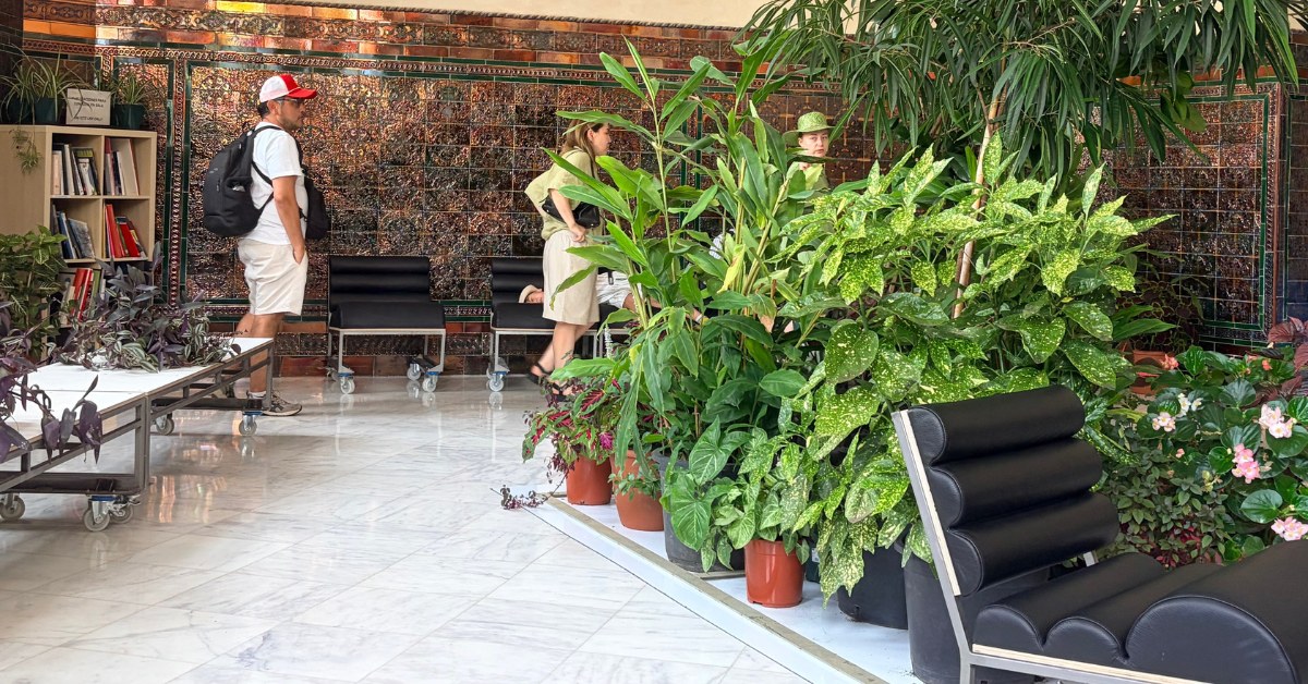 Refugio climático con plantas