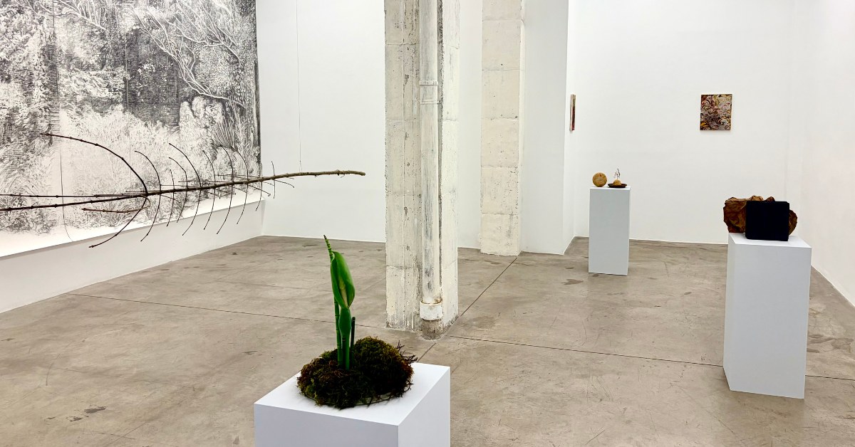 2 exposición 'Sombra Natural', de Javier Arce, en Galería The Goma (Autor: Rafa Ruiz)
